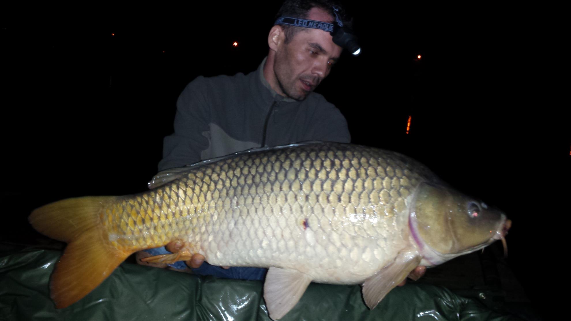 Hermes Peris 25 - 27 septembrie 2015 - 20150926010524.jpg